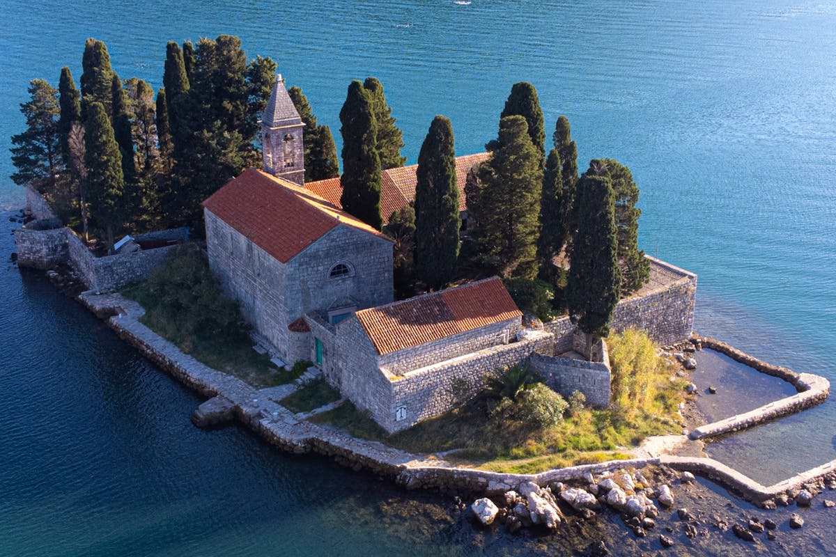 blogFamily.altFamily