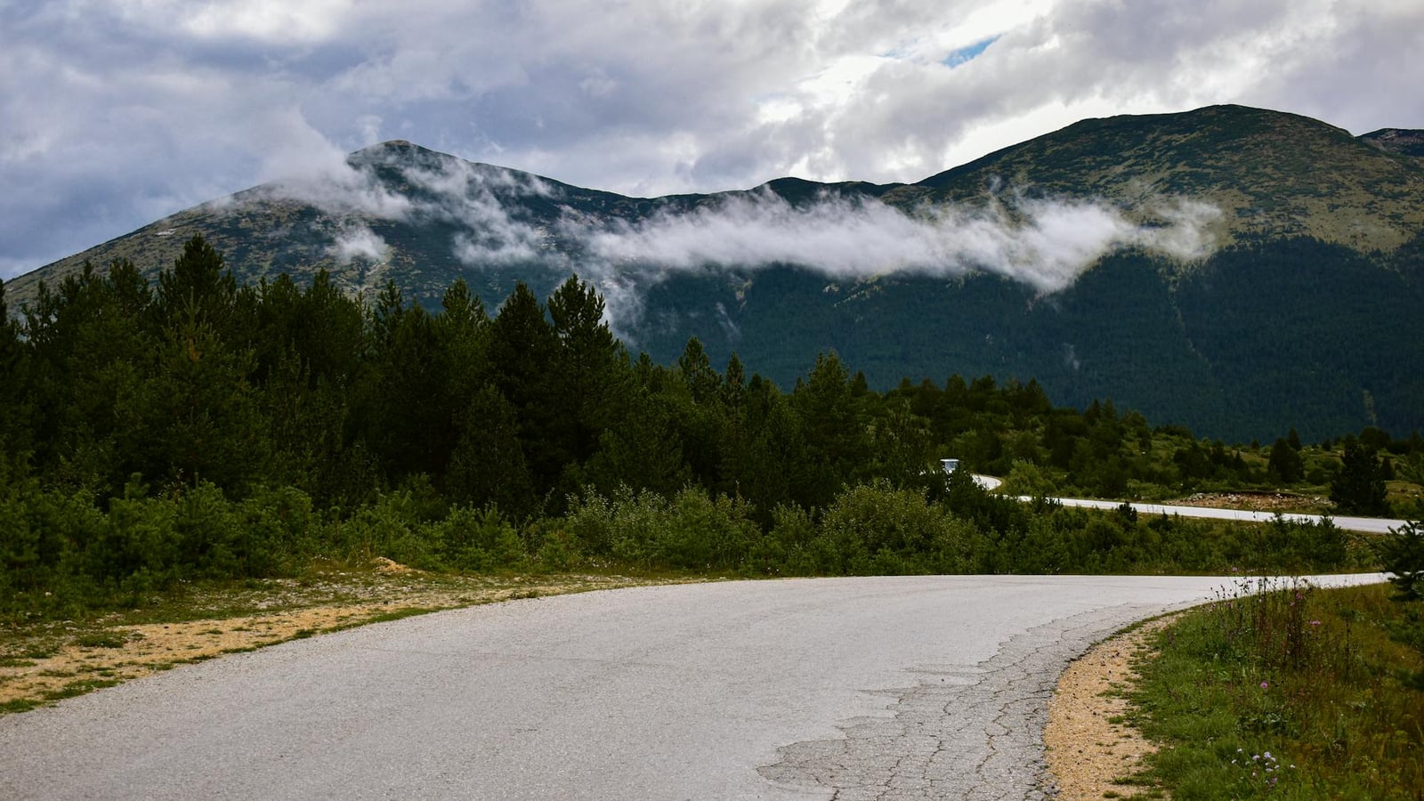 Road climbing out of the Bay of Kotor